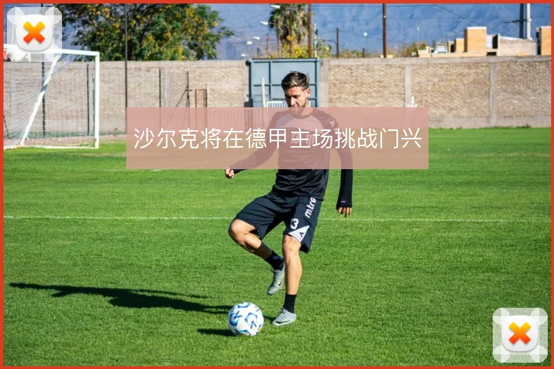 沙尔克将在德甲主场挑战门兴