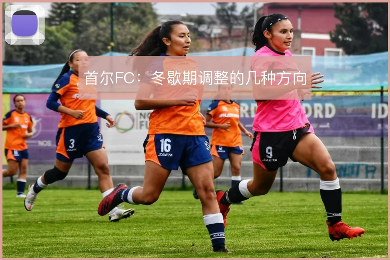 首尔FC：冬歇期调整的几种方向
