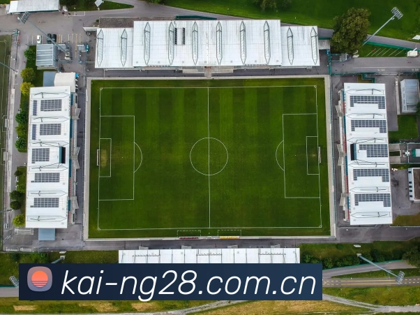 NG28发展历程
